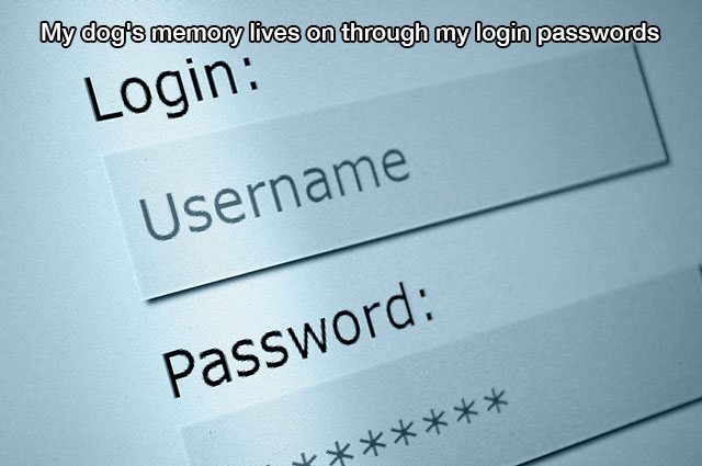 memes - angle - My dog's memory lives on through my login passwords Login Username Password