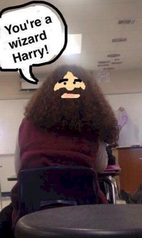 funny snapchat funny harry potter snapchats - You're a wizard Harry!