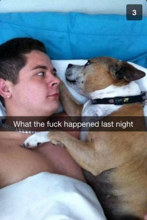 funny snapchat funny snapchat captions - What the fuck happened last night