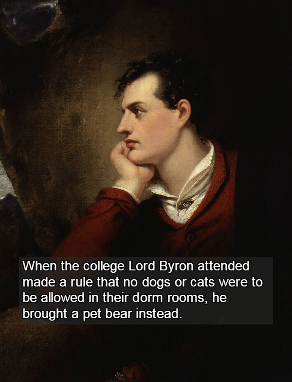 george gordon lord byron - When the college Lord Byron attended made a rule that no dogs or cats were to be allowed in their dorm rooms, he brought a pet bear instead.