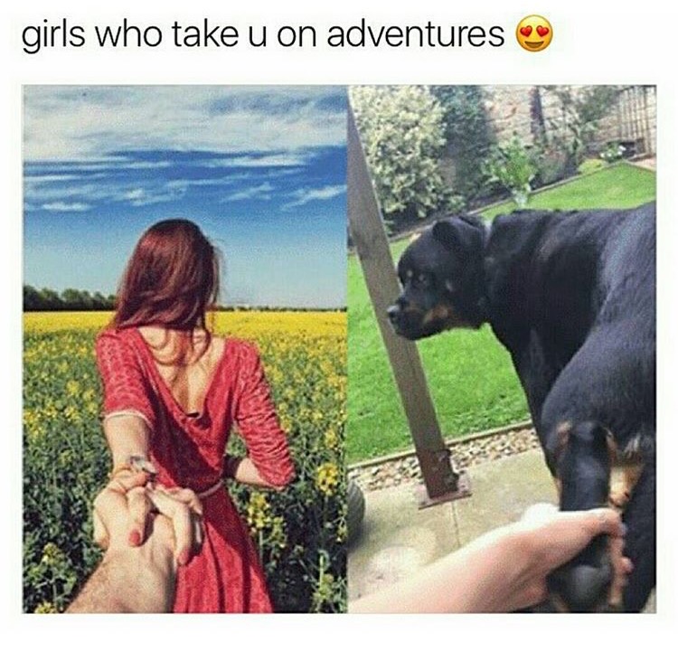 memes - others and me memes - girls who take u on adventures
