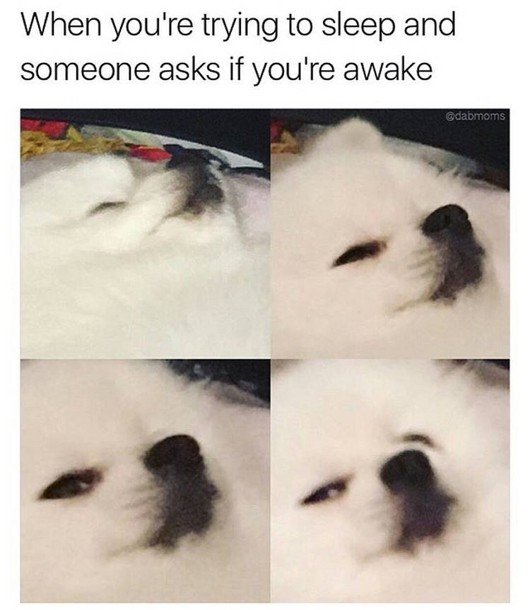 memes - let me sleep memes - When you're trying to sleep and someone asks if you're awake