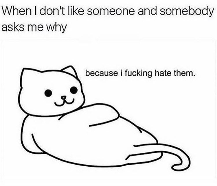 memes - because i hate them cat - When I don't someone and somebody asks me why because i fucking hate them.