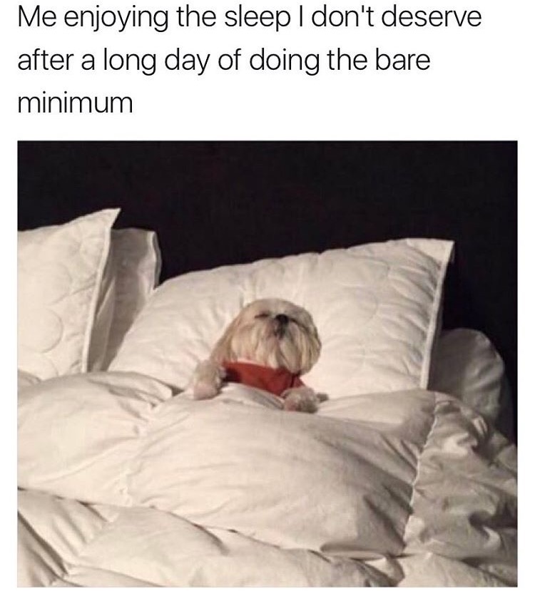 memes - me after being an asshole all day meme - Me enjoying the sleep I don't deserve after a long day of doing the bare minimum