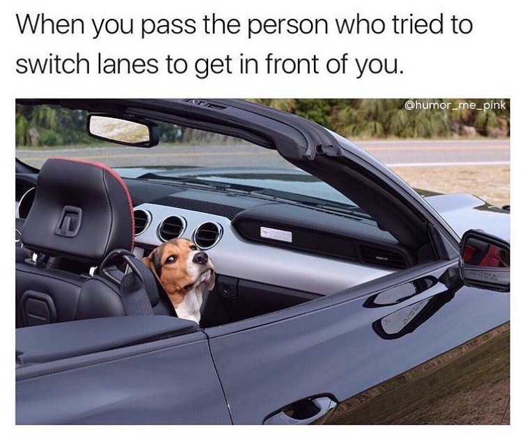 memes - Joke - When you pass the person who tried to switch lanes to get in front of you.