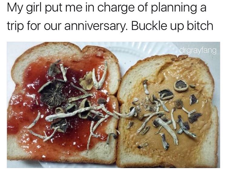 memes - shrooms and peanut butter - My girl put me in charge of planning a trip for our anniversary. Buckle up bitch drgrayfang
