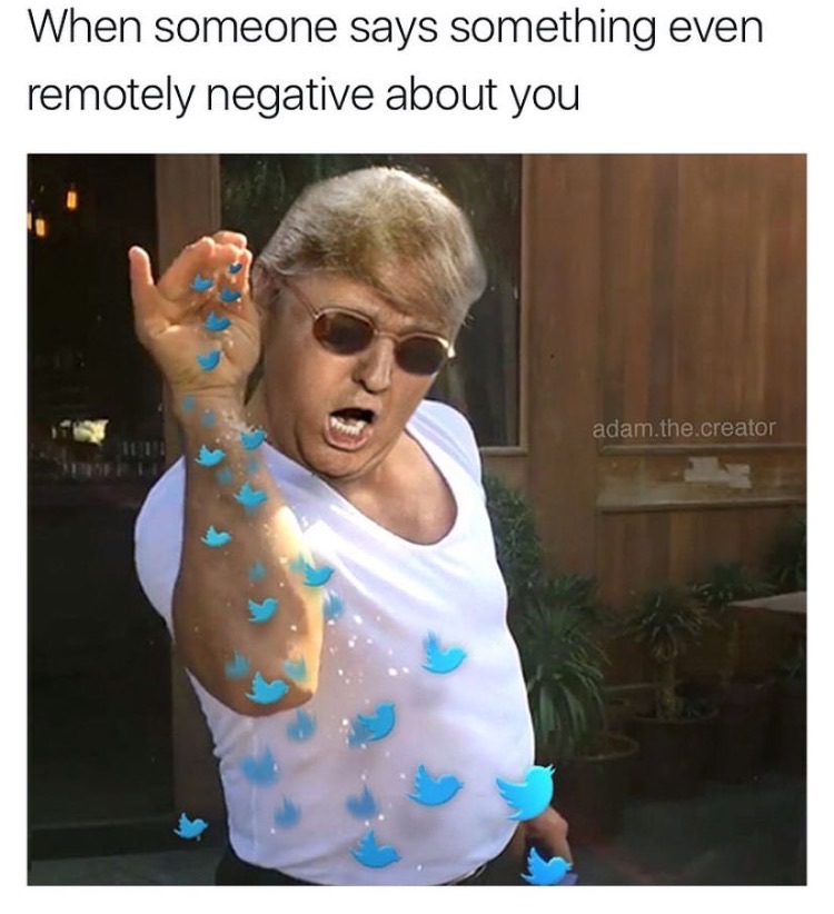 memes - trump funny - When someone says something even remotely negative about you adam.the.creator