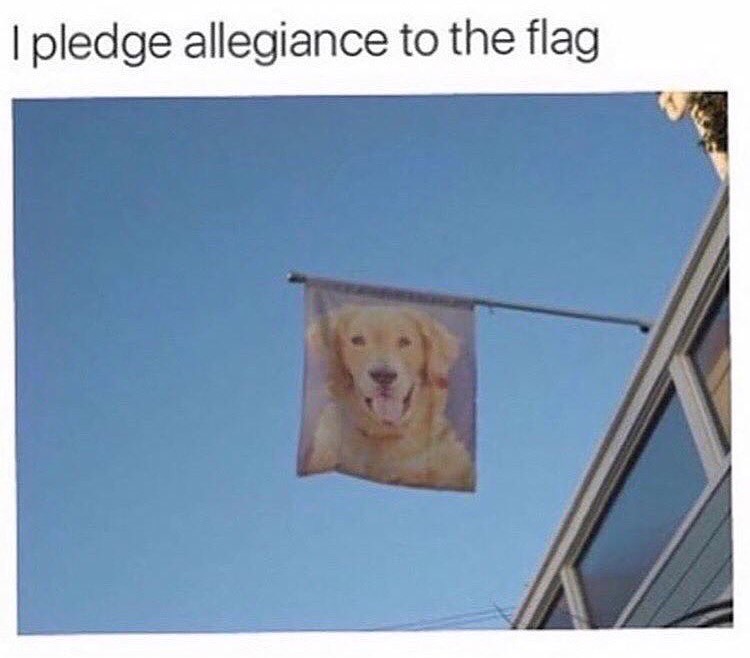 memes - Pledge of Allegiance - I pledge allegiance to the flag