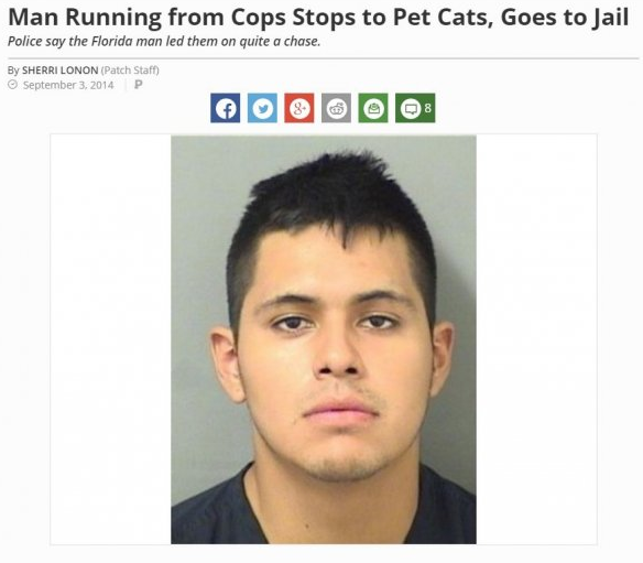 man running from cops stops to pet cats - Man Running from Cops Stops to Pet Cats, Goes to Jail Police say the Florida man led them on quite a chase. By Sherri Lonon Patch Staff P