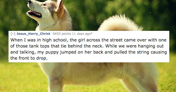 15 People Share The Best Accidental Nudity They've Ever Seen