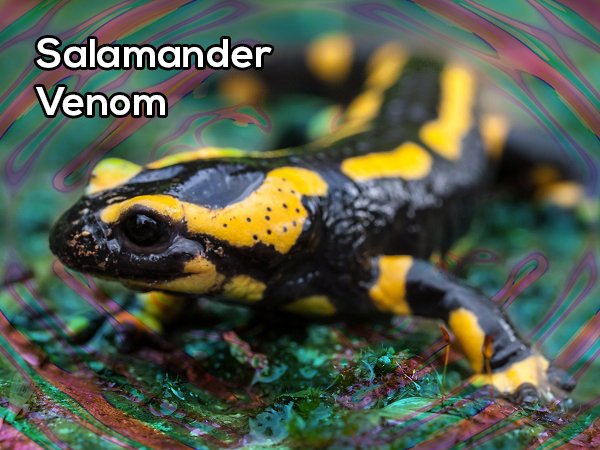 In Slovenia, some people drink home made brandy with the venom of a salamander. The high is said to be similar to a combination of LSD and Ecstasy.