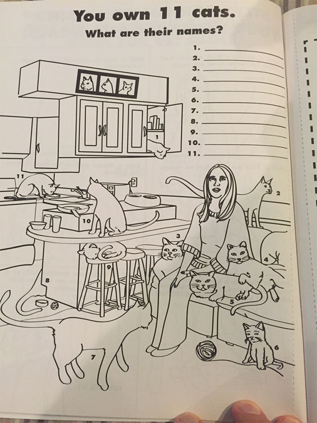 Coloring Book For Adults