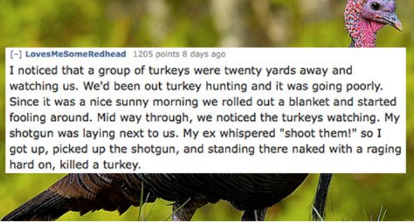 wild turkey - Loves Me Some Redhead 1205 points 8 days ago I noticed that a group of turkeys were twenty yards away and watching us. We'd been out turkey hunting and it was going poorly. Since it was a nice sunny morning we rolled out a blanket and starte