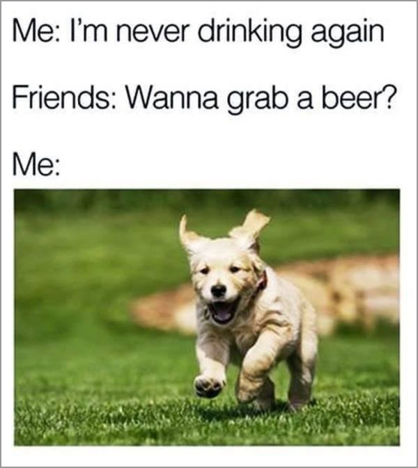 meme - best doggy - Me I'm never drinking again Friends Wanna grab a beer? Me