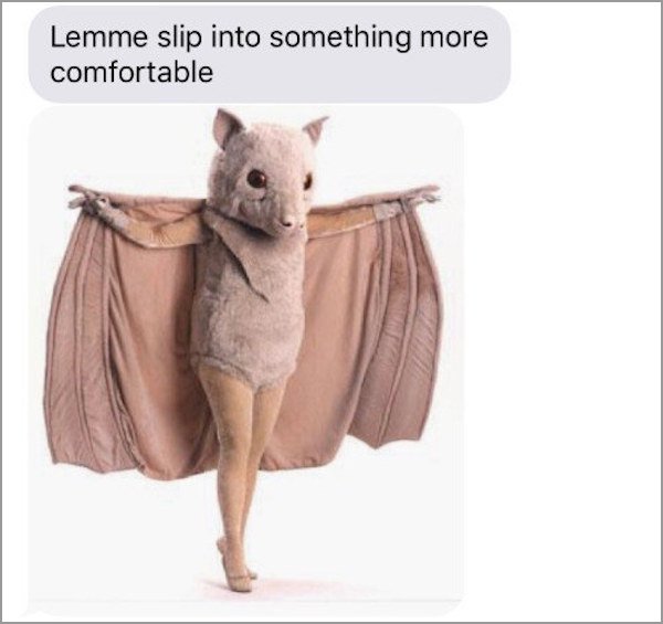 meme - bat costume meme - Lemme slip into something more comfortable
