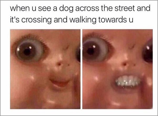 meme - you see a dog meme - when u see a dog across the street and it's crossing and walking towards u
