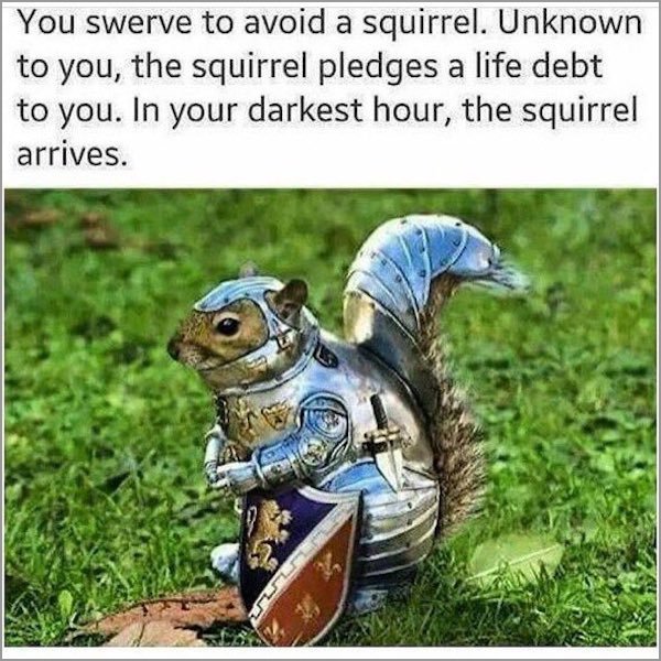 meme - squirrel darkest hour - You swerve to avoid a squirrel. Unknown to you, the squirrel pledges a life debt to you. In your darkest hour, the squirrel arrives.