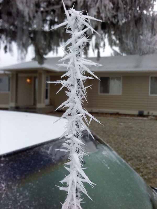 According to these cars, it’s f***ing freezing outside