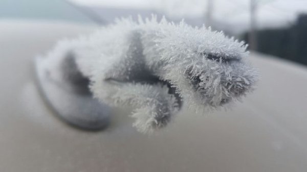 According to these cars, it’s f***ing freezing outside