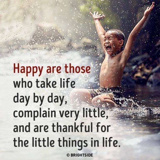 happy are they who take life day thankful for the little things in life - Happy are those who take life day by day, complain very little, and are thankful for the little things in life. Brightside