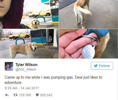 Tyler Wilson Came up to me while I was pumping gas. Dew just to adventure 7 119,166 305,043