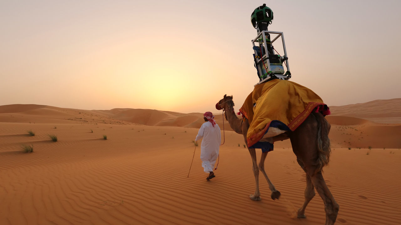 Google Street View Camel used to capture images of the Abu Dhabi Liwa Oasis