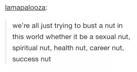 talking to a cute boy meme - lamapalooza we're all just trying to bust a nut in this world whether it be a sexual nut, spiritual nut, health nut, career nut, success nut