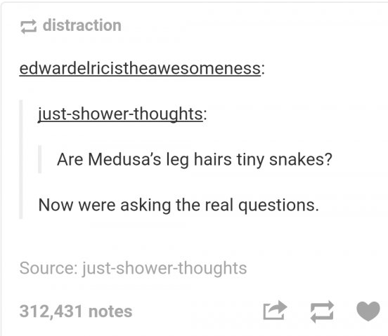 funny shower thoughts twitter - distraction edwardelricistheawesomeness justshowerthoughts Are Medusa's leg hairs tiny snakes? Now were asking the real questions. Source justshowerthoughts 312,431 notes