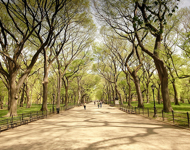 Central Park