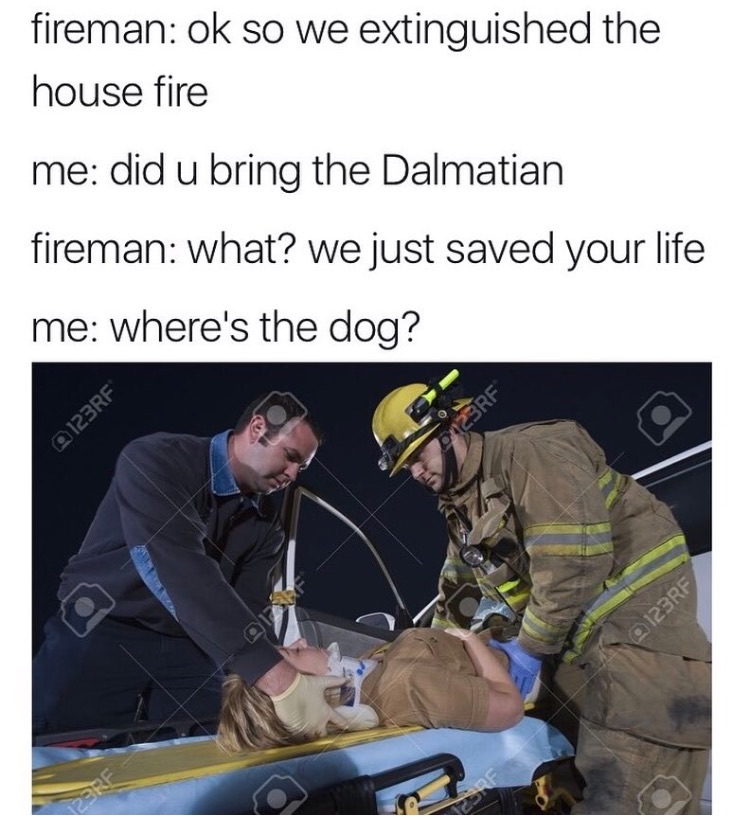 memes - communication - fireman Ok so we extinguished the house fire me did u bring the Dalmatian fireman what? we just saved your life me where's the dog? 9123RF 123