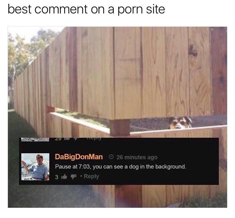 memes - best comment on a porn site - best comment on a porn site DaBigDonMan 26 minutes ago Pause at , you can see a dog in the background. 3 9