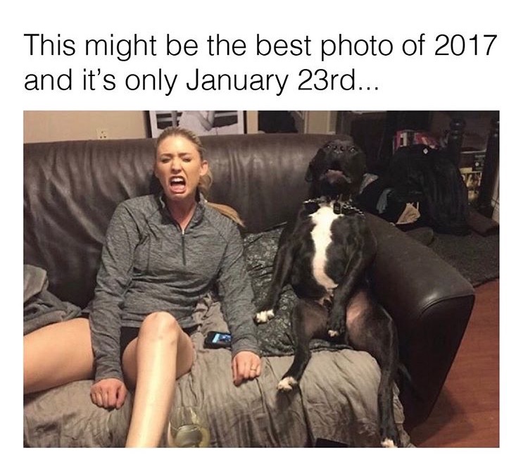 memes - best 2017 memes - This might be the best photo of 2017 and it's only January 23rd...