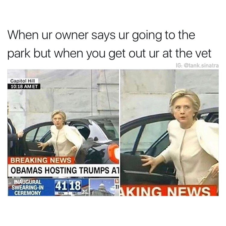 memes - hillary clinton meme inauguration - When ur owner says ur going to the park but when you get out ur at the vet Ig .sinatra Capitol Hill Et Breaking News Obamas Hosting Trumps A1 Inaugural SwearingIn Ceremony 4118 "Aking News Man