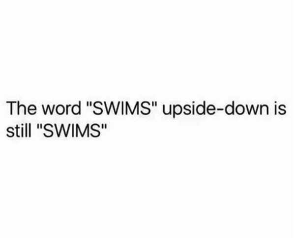 sometimes silence is violent - The word "Swims" upsidedown is still "Swims"