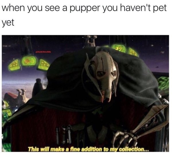 expected someone with your reputation - when you see a pupper you haven't pet yet This will make a fine addition to my collection...