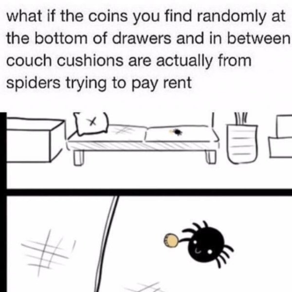 spider paying rent meme - what if the coins you find randomly at the bottom of drawers and in between couch cushions are actually from spiders trying to pay rent