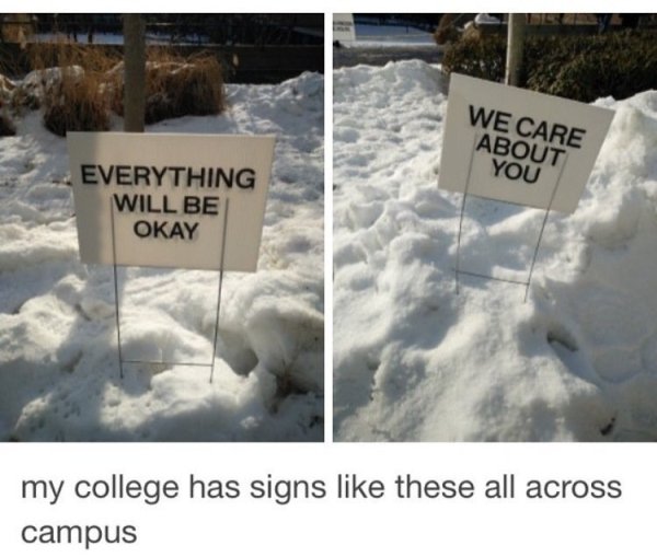 wholesome posting - We Care About You Everything Will Be Okay my college has signs these all across campus