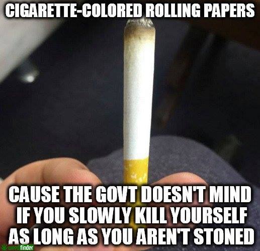robert f. kennedy memorial stadium - CigaretteColored Rolling Papers Cause The Govt Doesnt Mind If You Slowly Kill Yourself As Long As You Arent Stoned finder
