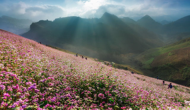 20 Reminders That Life Is Also Beautiful