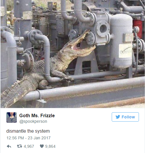 iranian alligator - Goth Ms. Frizzle y dismantle the system 7 4,967 9.864
