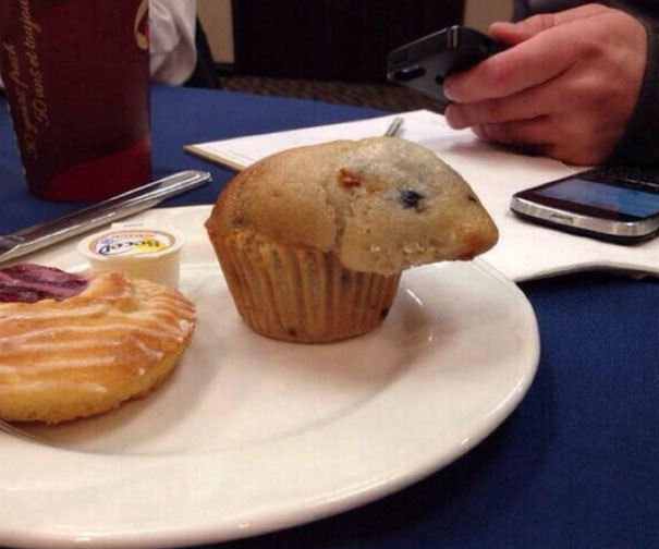 hamster muffin