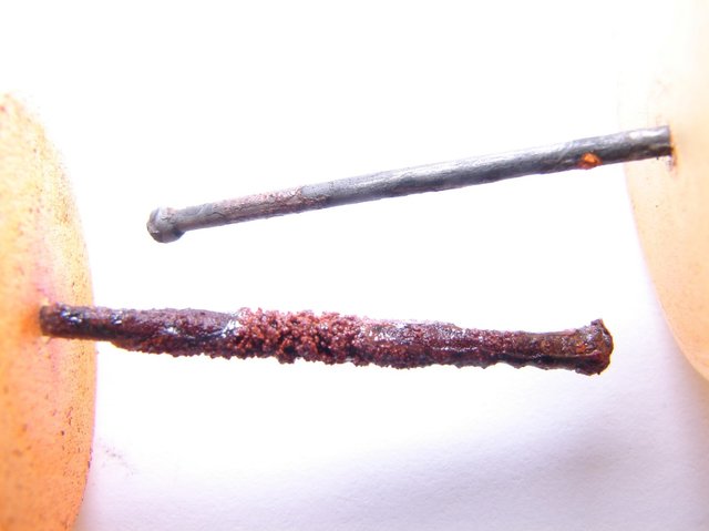 A nail after one month of exposure to Detroit water (above) and Flint River water (below)