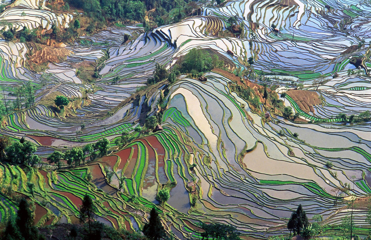 Rice terraces in Yunnan, China looks like a painting