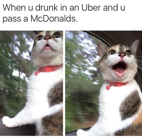 When u drunk in an Uber and u pass a McDonalds.