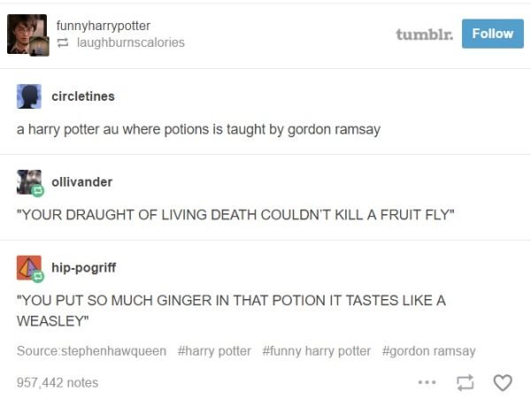 tumblr - funny tumblr posts cnn - funnyharrypotter laughburnscalories tumblr. circletines a harry potter au where potions is taught by gordon ramsay ollivander "Your Draught Of Living Death Couldn'T Kill A Fruit Fly" hippogriff "You Put So Much Ginger In 