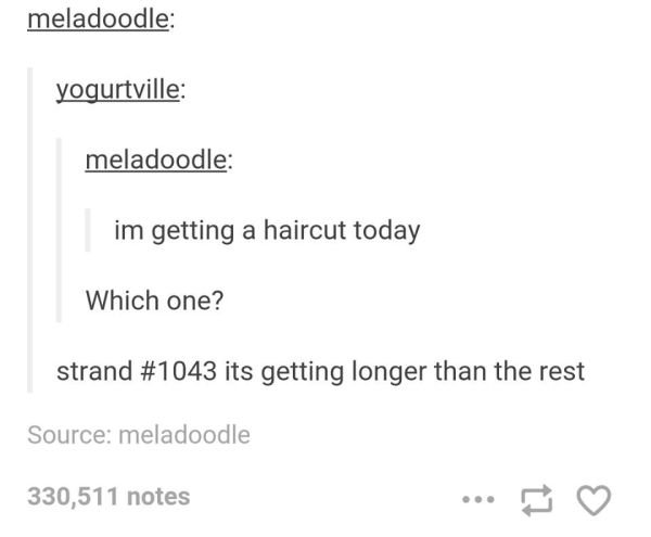 tumblr - document - meladoodle yogurtville meladoodle im getting a haircut today Which one? strand its getting longer than the rest Source meladoodle 330,511 notes