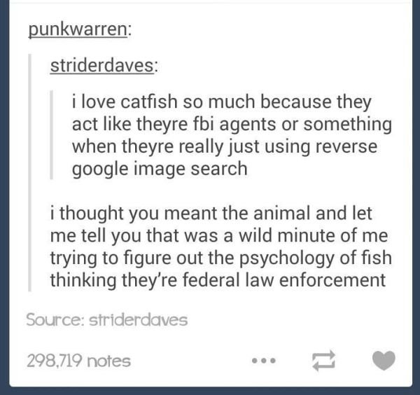tumblr - rickets in children - punkwarren striderdaves i love catfish so much because they act theyre fbi agents or something when theyre really just using reverse google image search i thought you meant the animal and let me tell you that was a wild minu