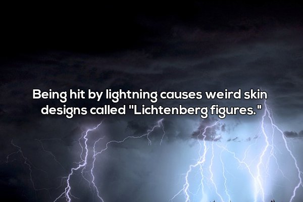 Random and odd facts to add to your plethora of useless knowledge