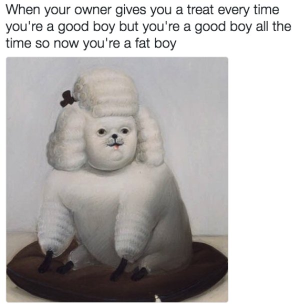 good boy fat boy meme - When your owner gives you a treat every time you're a good boy but you're a good boy all the time so now you're a fat boy