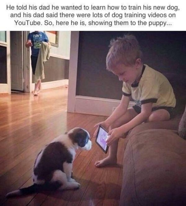 kid showing puppy training video - He told his dad he wanted to learn how to train his new dog, and his dad said there were lots of dog training videos on YouTube. So, here he is, showing them to the puppy...